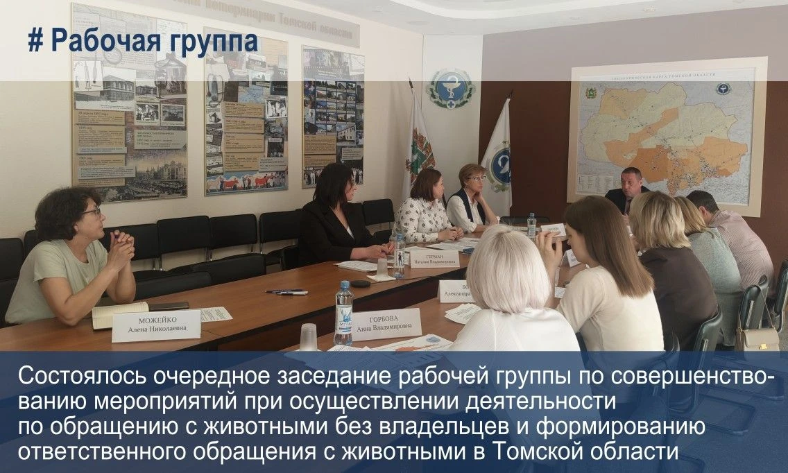 💼 Состоялось очередное заседание рабочей группы по совершенствованию мероприятий при о...