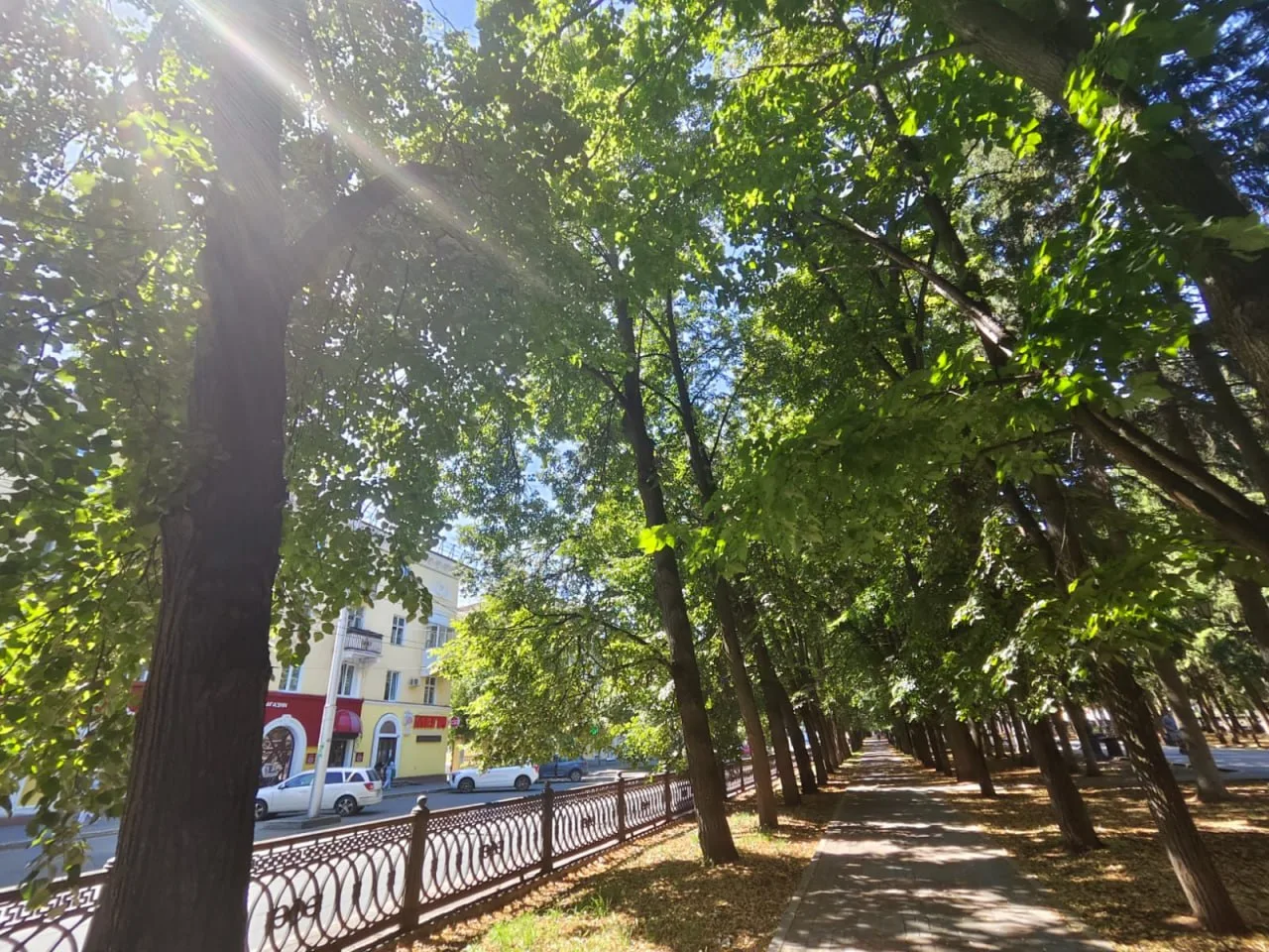 🌤 Доброе утро, Уфа!

Похоже, передышка от дождей длилась всего один день. Сегодня синоптики снова о