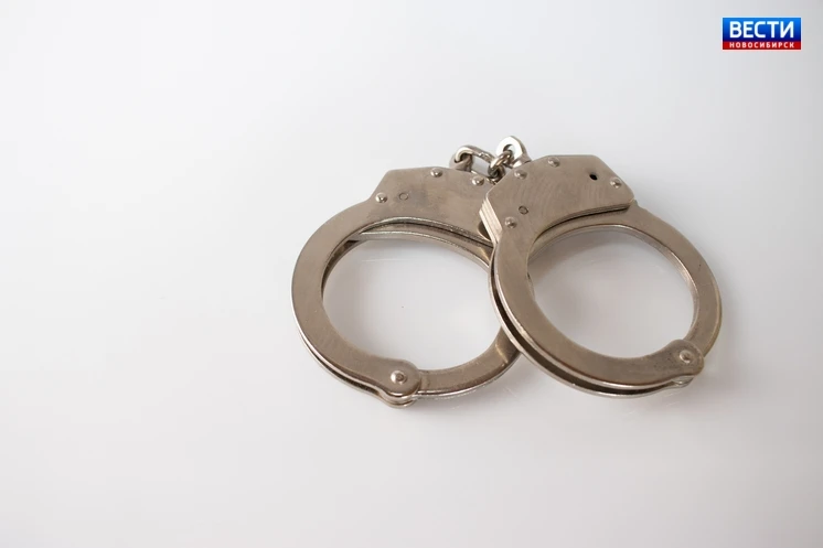 ⚖️ Обвиняемая в убийстве 

Доволенский районный суд Новосибирской области заключил под стражу Елену 