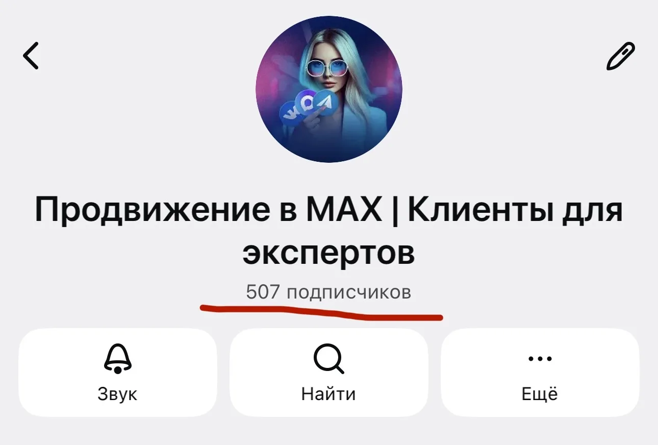 500 подписчиков в MAX +200.000 ₽ в кассе за 9 дней трафика  🚀И это только начало.  Мы потратили на т