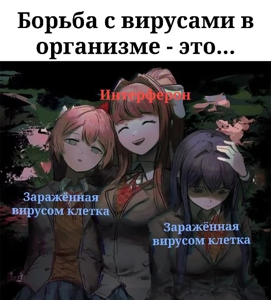 Все наши каналы