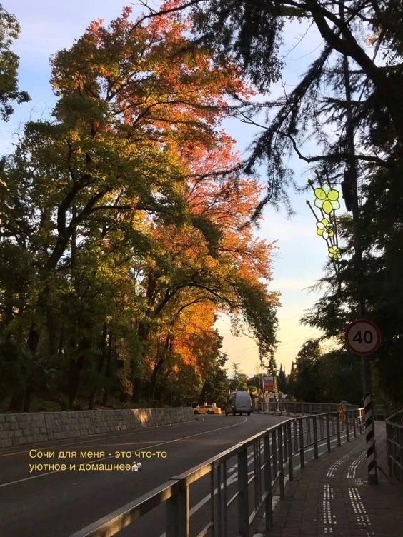 Доброе октябрьское утро, Сочи🍁