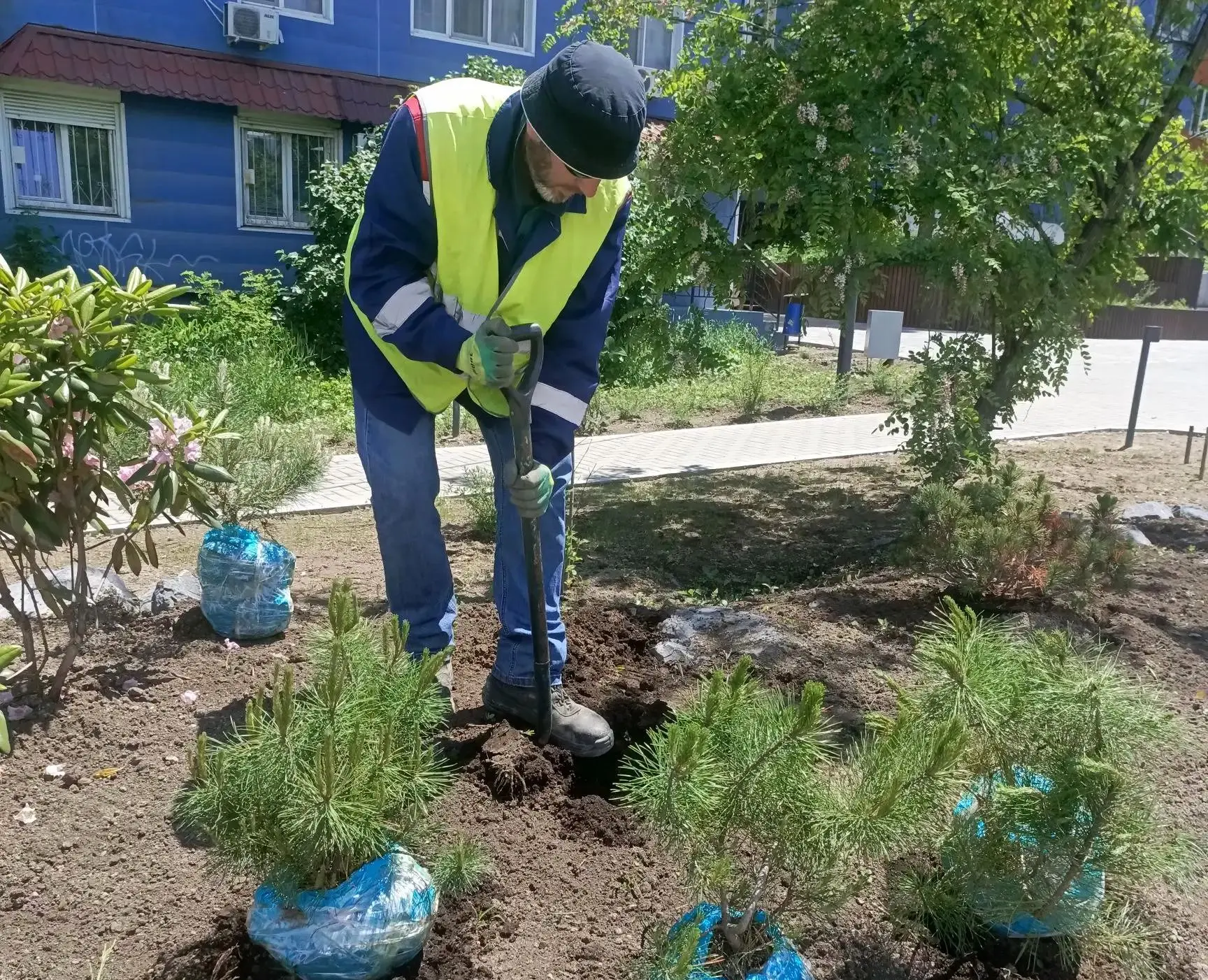 🌳 Проводим дополнительное озеленение в Некрасовском сквере

Сквер на Некрасовской, 96 благоустроили