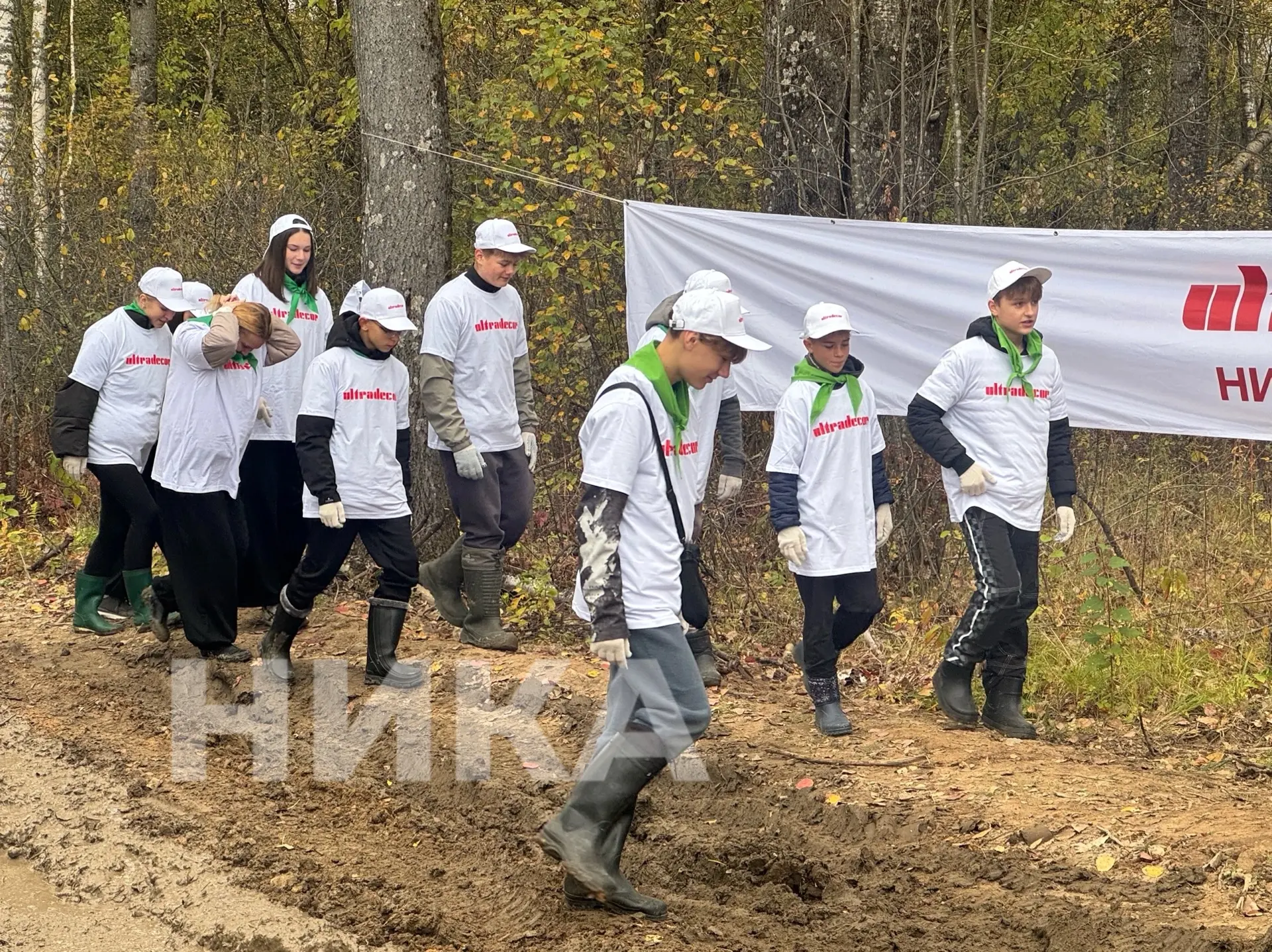🌲 Около 8 тысяч саженцев ели высадили в Думиничском округе