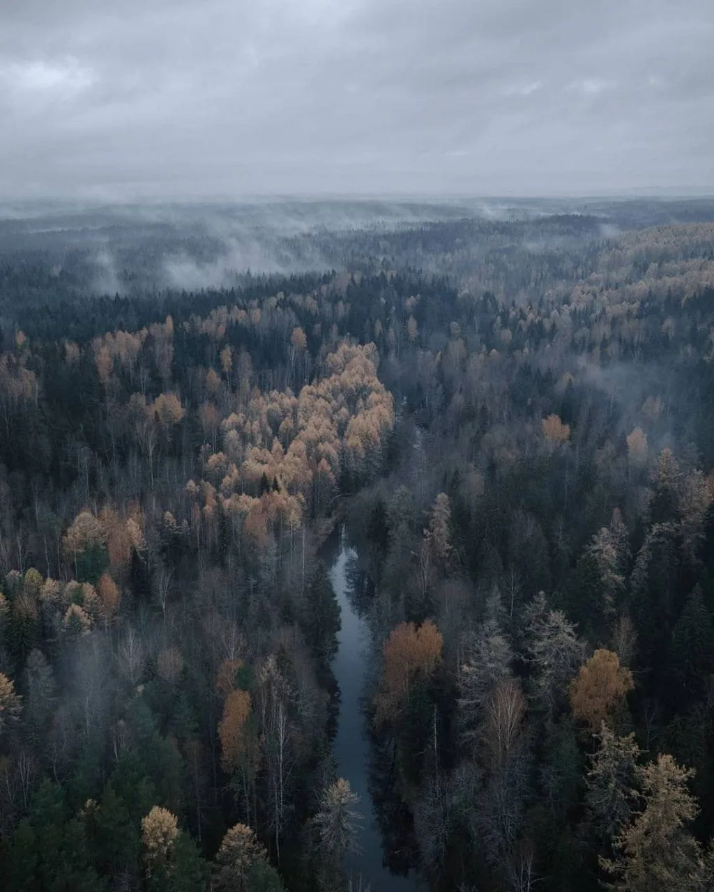 Линдуловская роща - уголок нетронутой природы 🌳