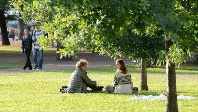 В парках Петербурга за неделю обновили более 72 тыс. м²: 34 тыс. м² дорожек и 38 тыс. м² газонов. 

