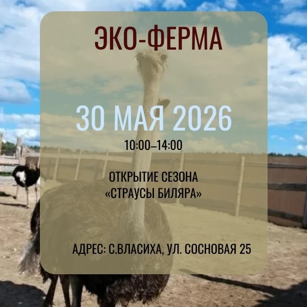 Время летит и пора готовиться к выходным.