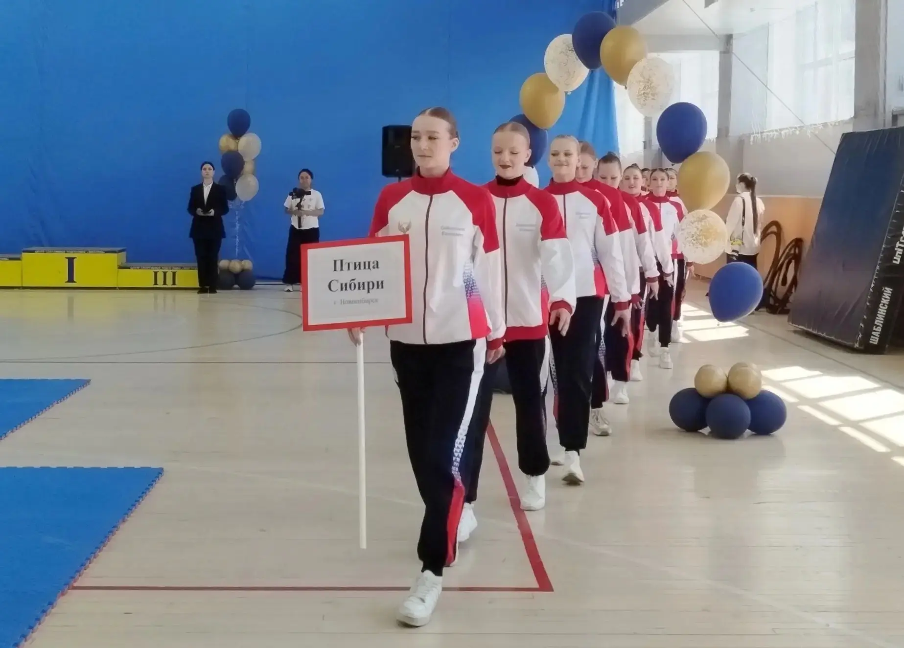 🏆ГОРДОСТЬ ГИМНАЗИИ✨  2 мая в Новосибирске прошёл Чемпионат и Первенство города по воздушной гимнасти