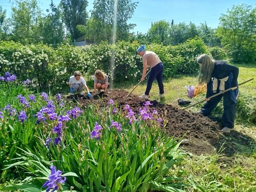 Яркие солнечные кадры из села Медвежье!🌞🌻 И мы продолжаем облагораживать территорию нашей школы! �