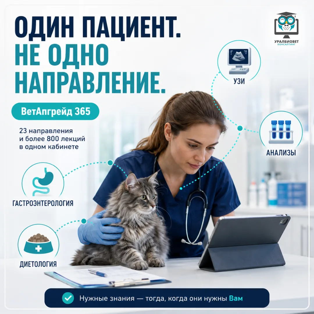 Сегодня - ЖКТ. Завтра - почки. На следующем дежурстве - пациент с одышкой.