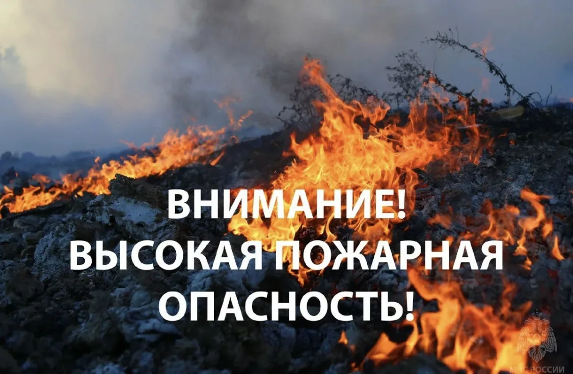 Чрезвычайная пожарная опасность 5 класса прогнозируется местами 23-24 июля. Соблюдайте меры пожарной