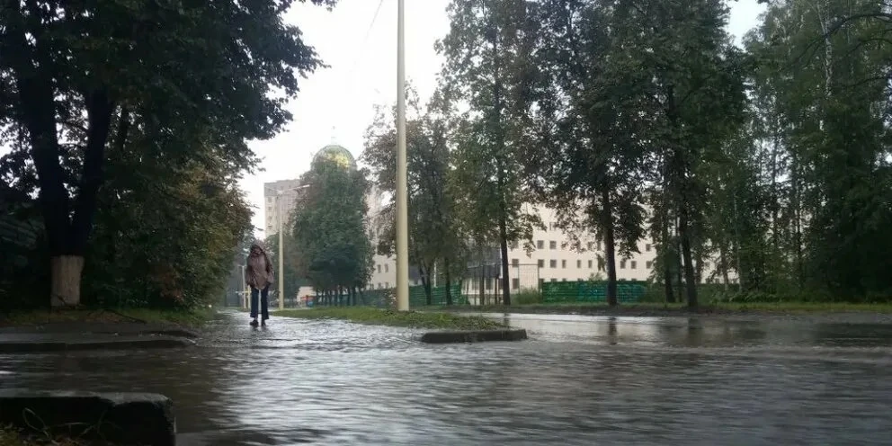 🌧 Дождь в Академгородке обернулся ЧП: в разных частях района упали деревья и появился провал
На Уни