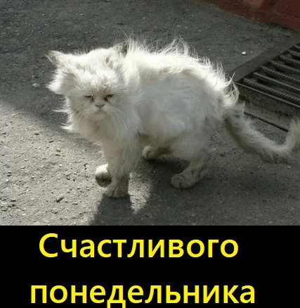 Держимся, друзья! 
Нам осталось 4 рабочих дня