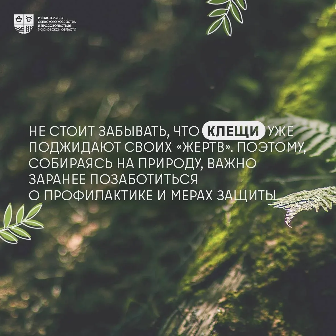🦮 Отдых с питомцем: как сделать майские праздники безопасными   🐾 Майские праздники – отличный повод