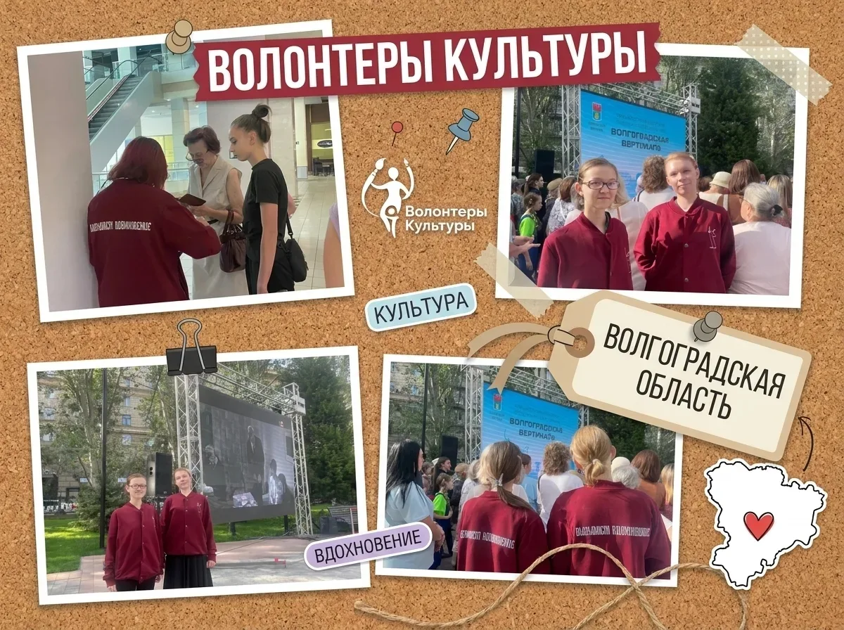 🎬В Волгограде стартовал Открытый российский кинофестиваль «Волгоградская вертикаль», п...