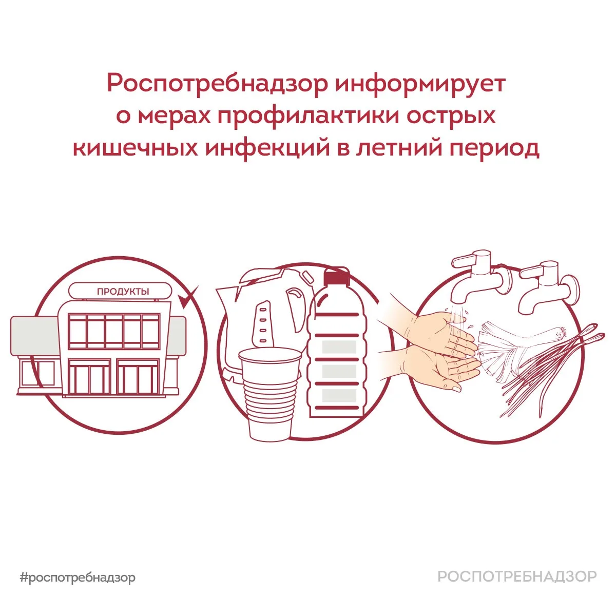 Меры профилактики острых кишечных инфекций в летний период