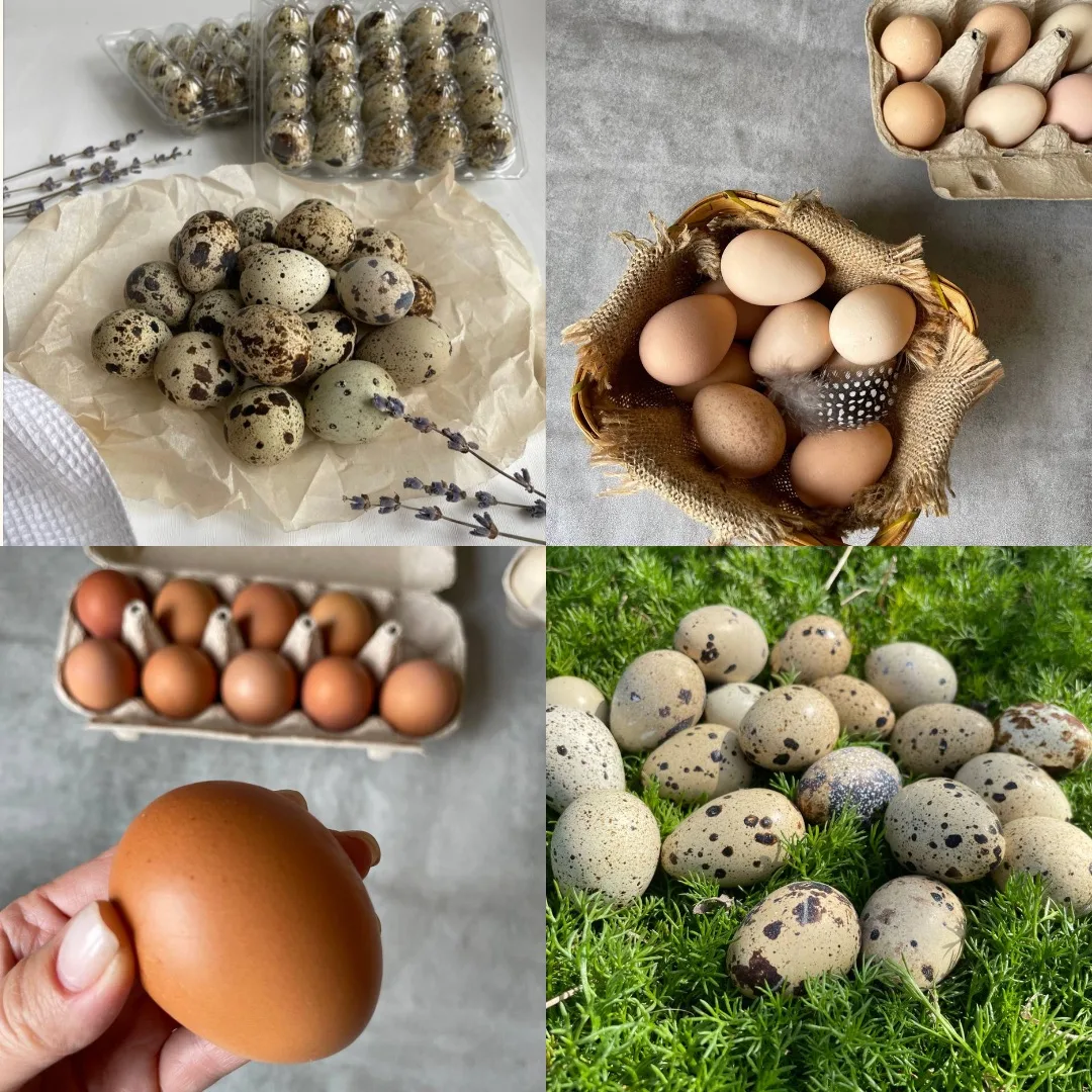 🥚Куриные, цесариные и перепелиные яйца в продаже!