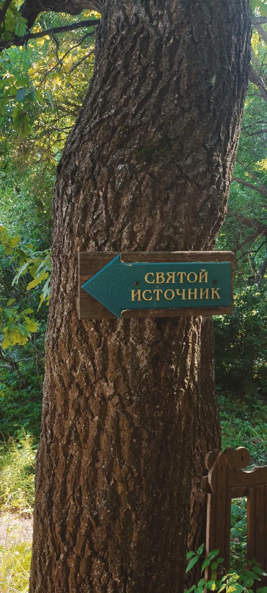 ✨ Пощупово. Место силы, куда хочется возвращаться 

📸Маша Праздник