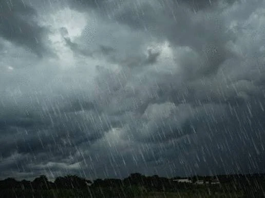 ⚡️ В выходные в Воронеже и области прогнозируют дожди с грозами. 

Температура воздуха днём составит