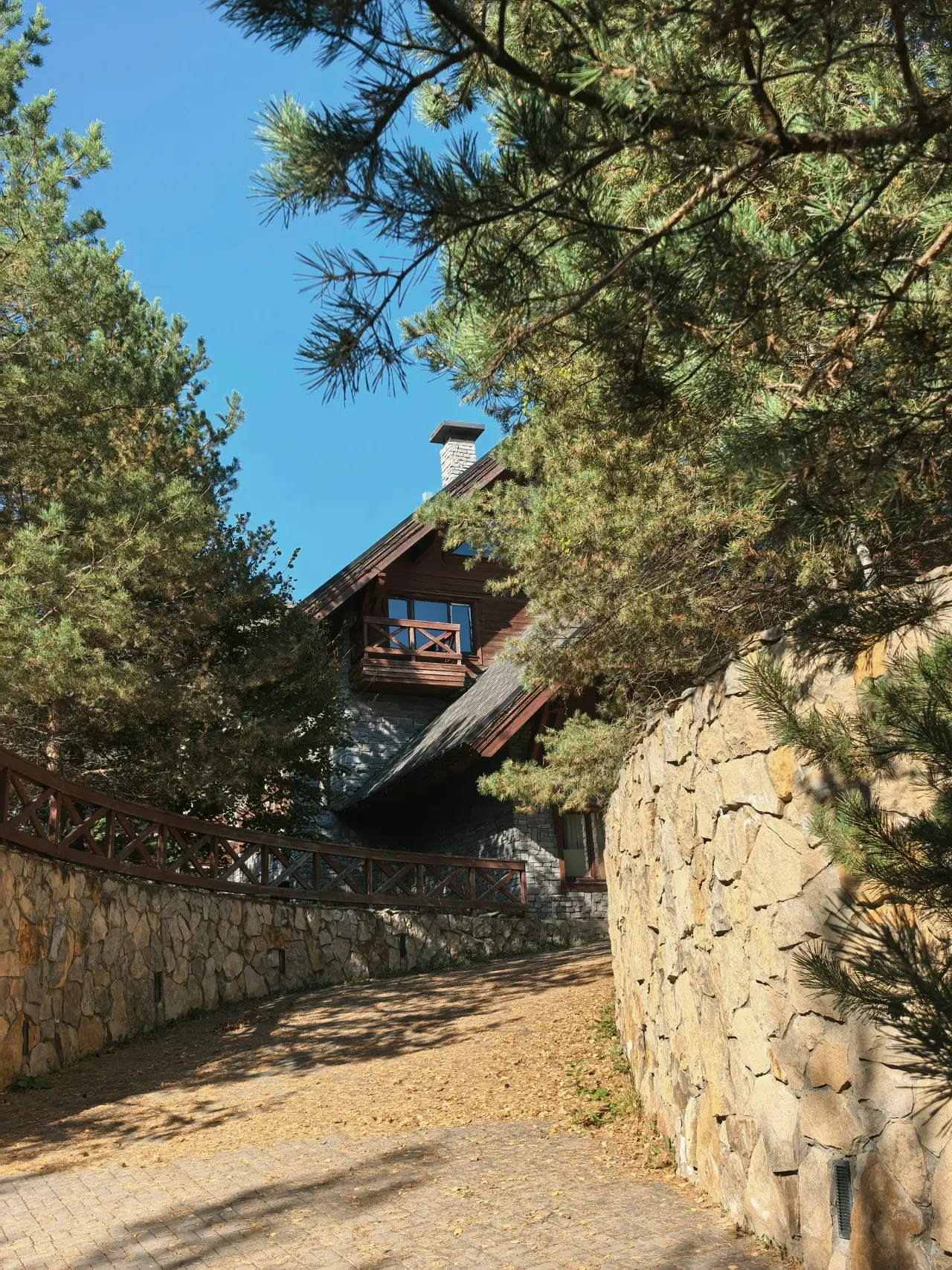 Свияжские холмы😍️