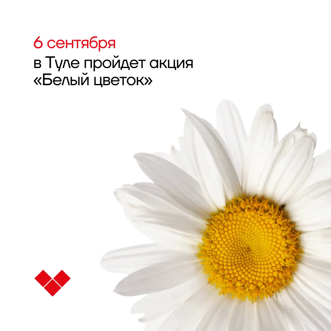 Творить добро: в Туле обсудили программу благотворительной акции «Белый цветок» 🌼