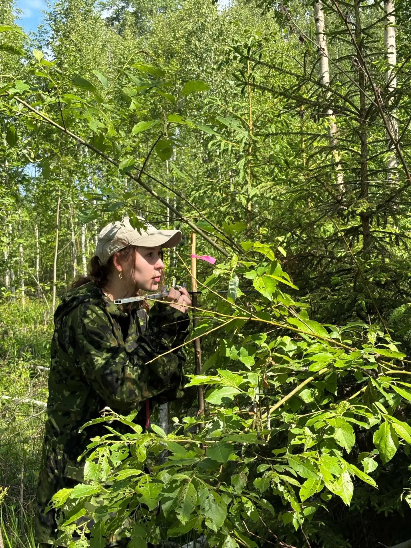 🌲Студенты Вологодской ГМХА прошли учебную практику в Бабаево

Второкурсники кафедры лесного хозяйст