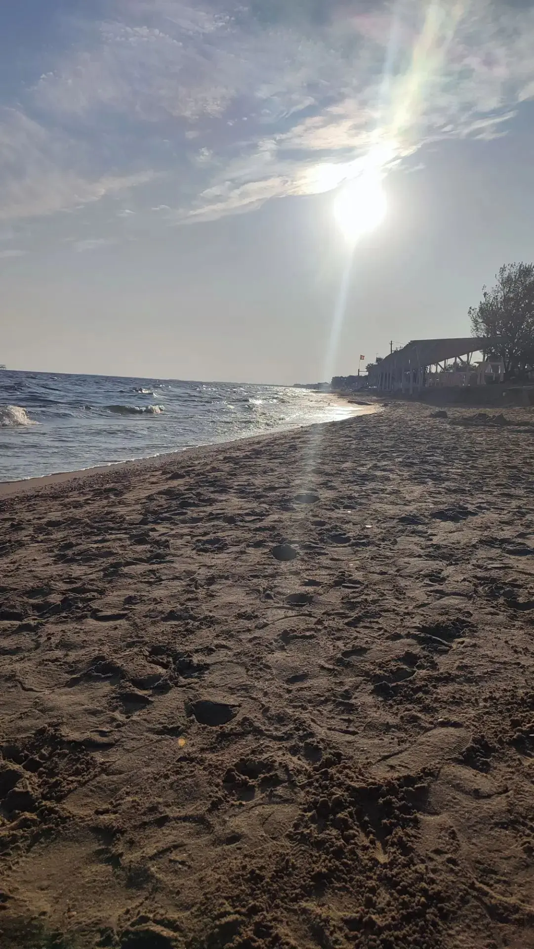 Доброе утро 🐬