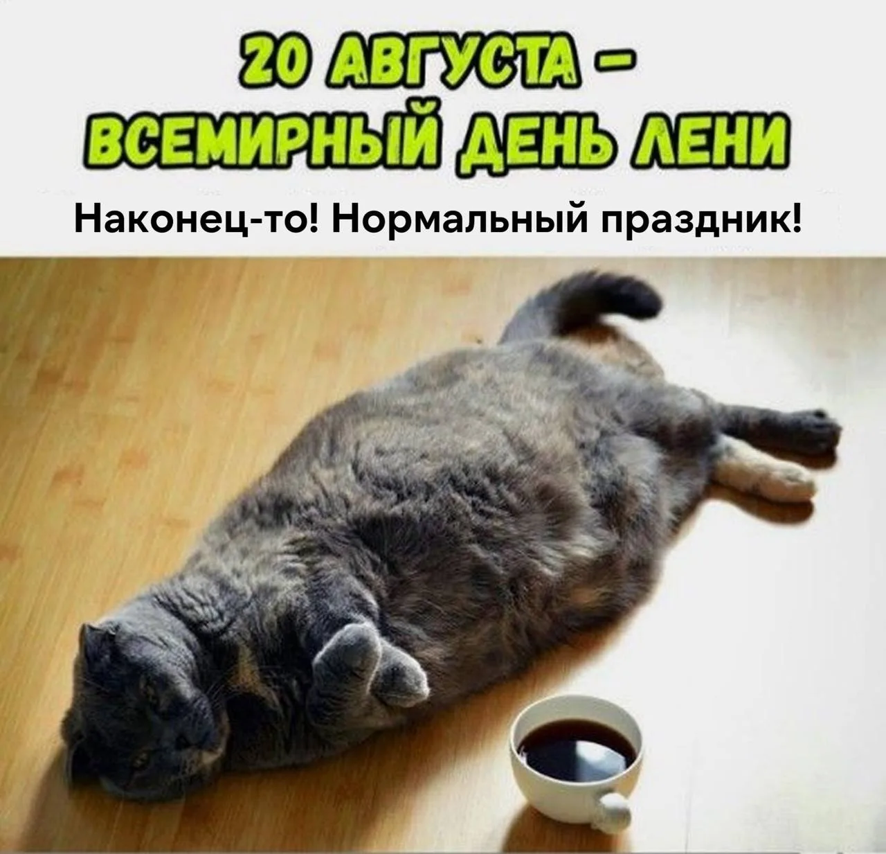 Сегодня — Всемирный день лени!