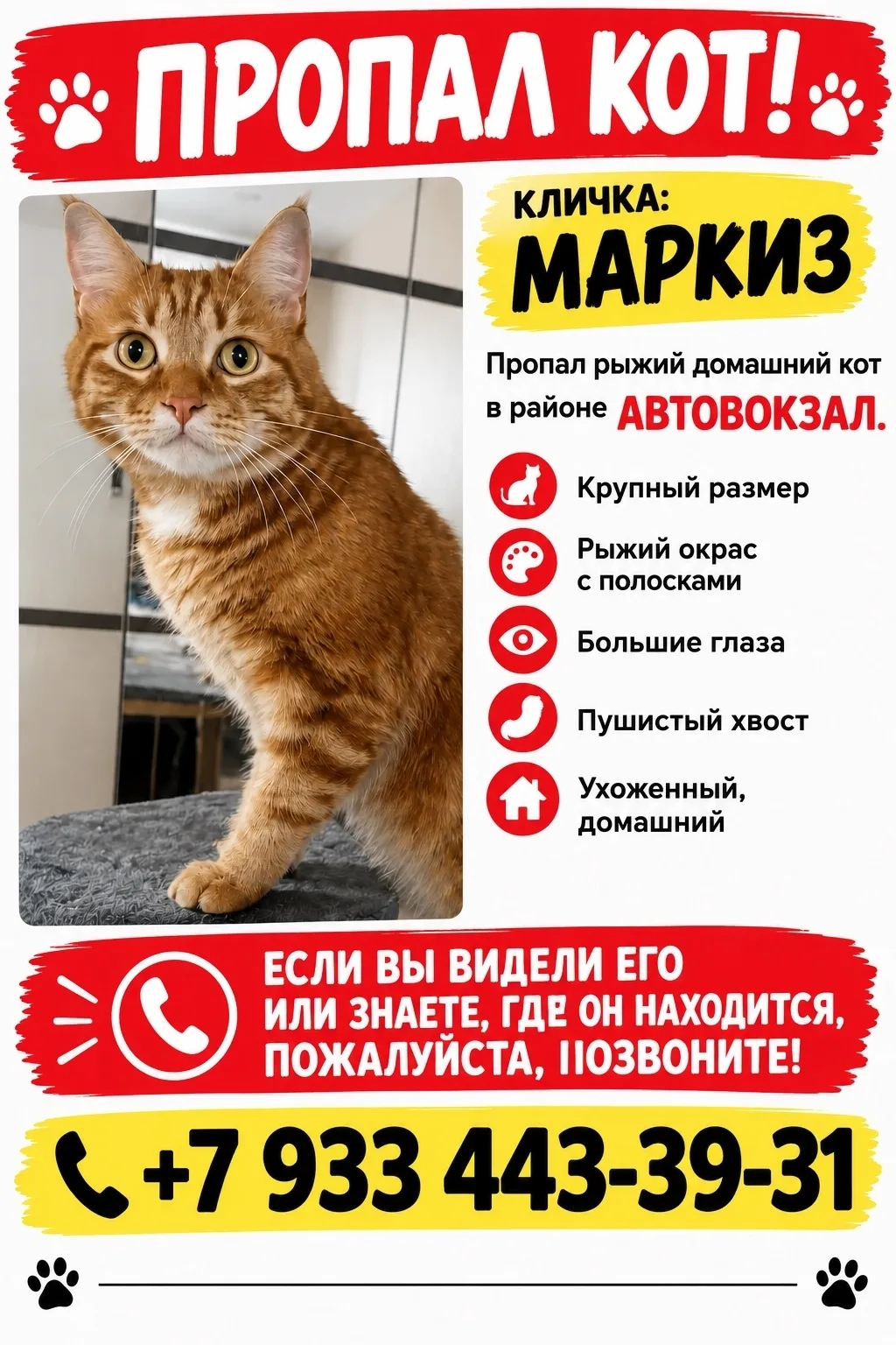 Помогите найти кота , выпрыгнул с 3-го этажа , по ул. Туполева .