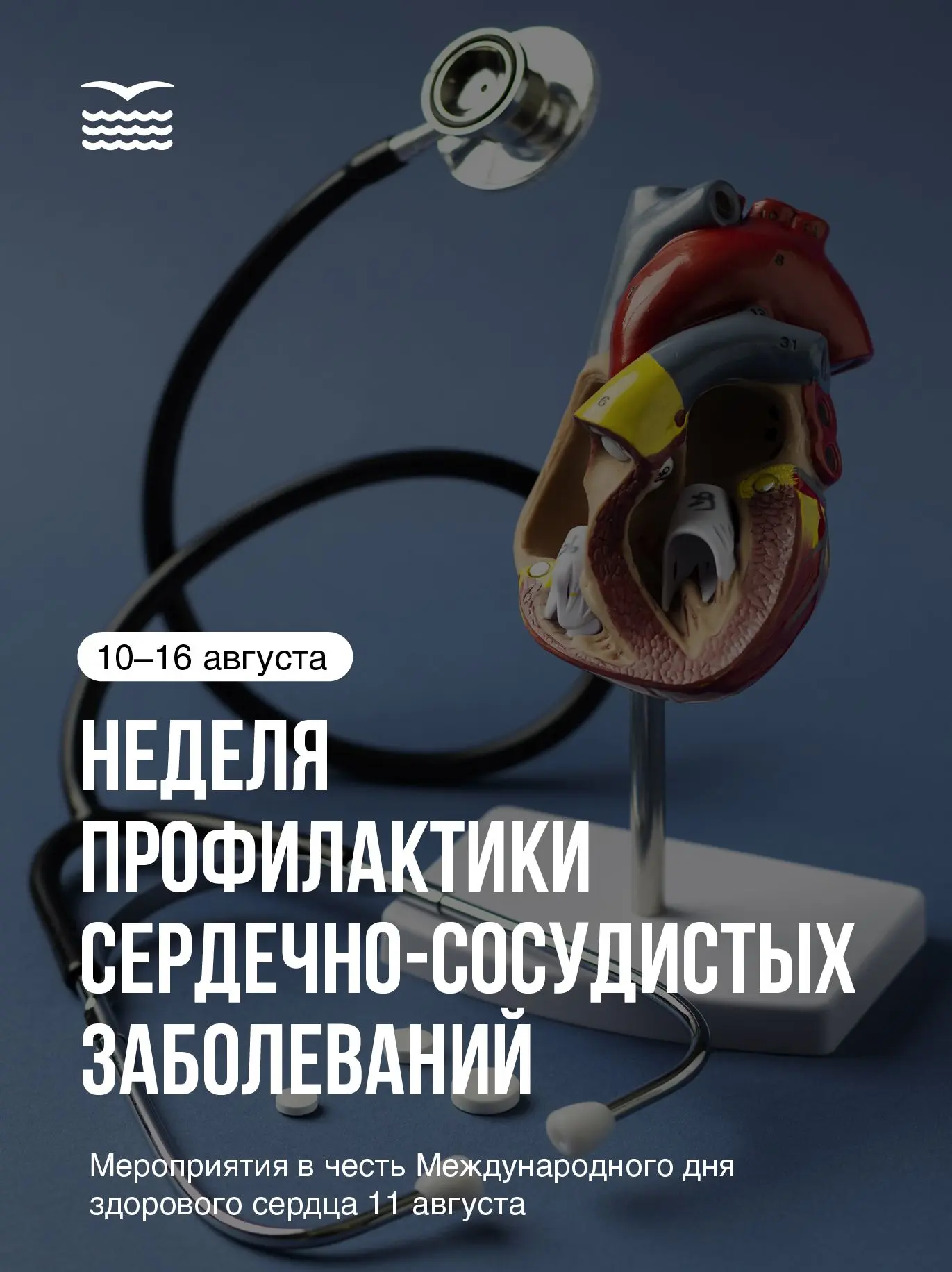 💉 Санкт-Петербург присоединился к Неделе профилактики сердечно-сосудистых заболеваний