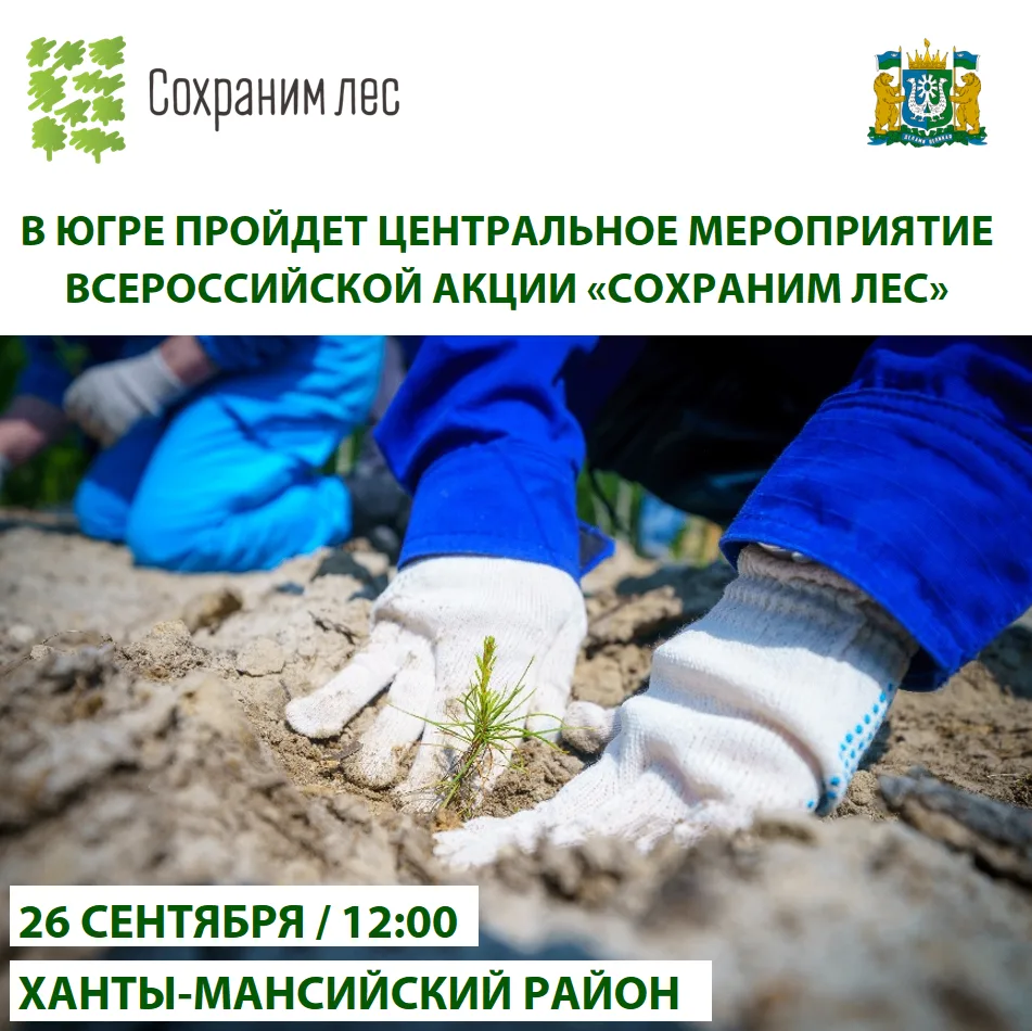 Главное богатство Югры – её леса. Приумножим его вместе! 🌲