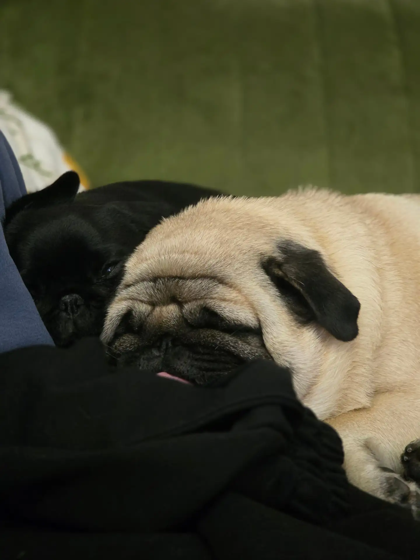 Доброе утро! Сегодня не хочется вылазить из тёплой кроватки 😴