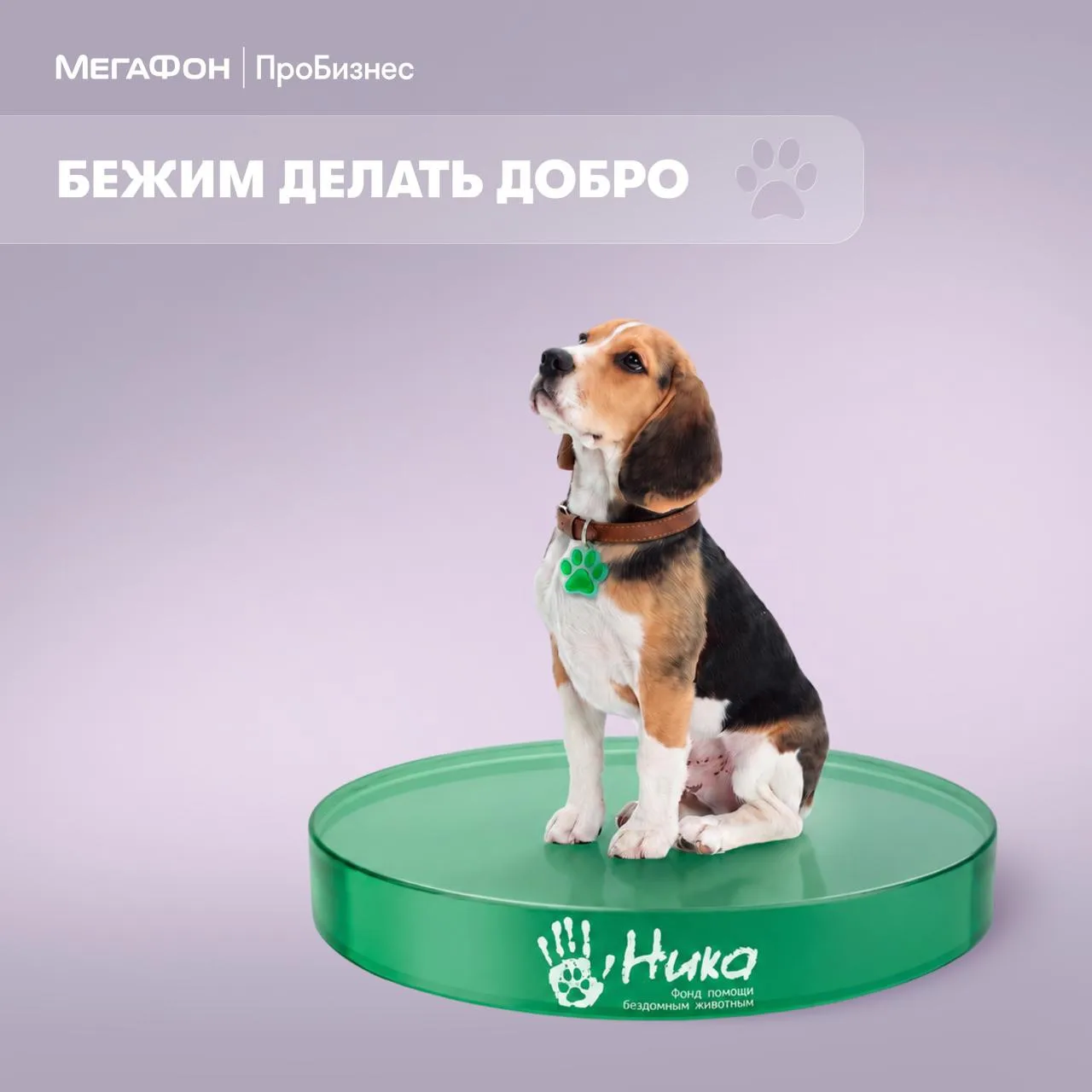 💜 Большие данные МегаФон Таргета — для добрых дел
