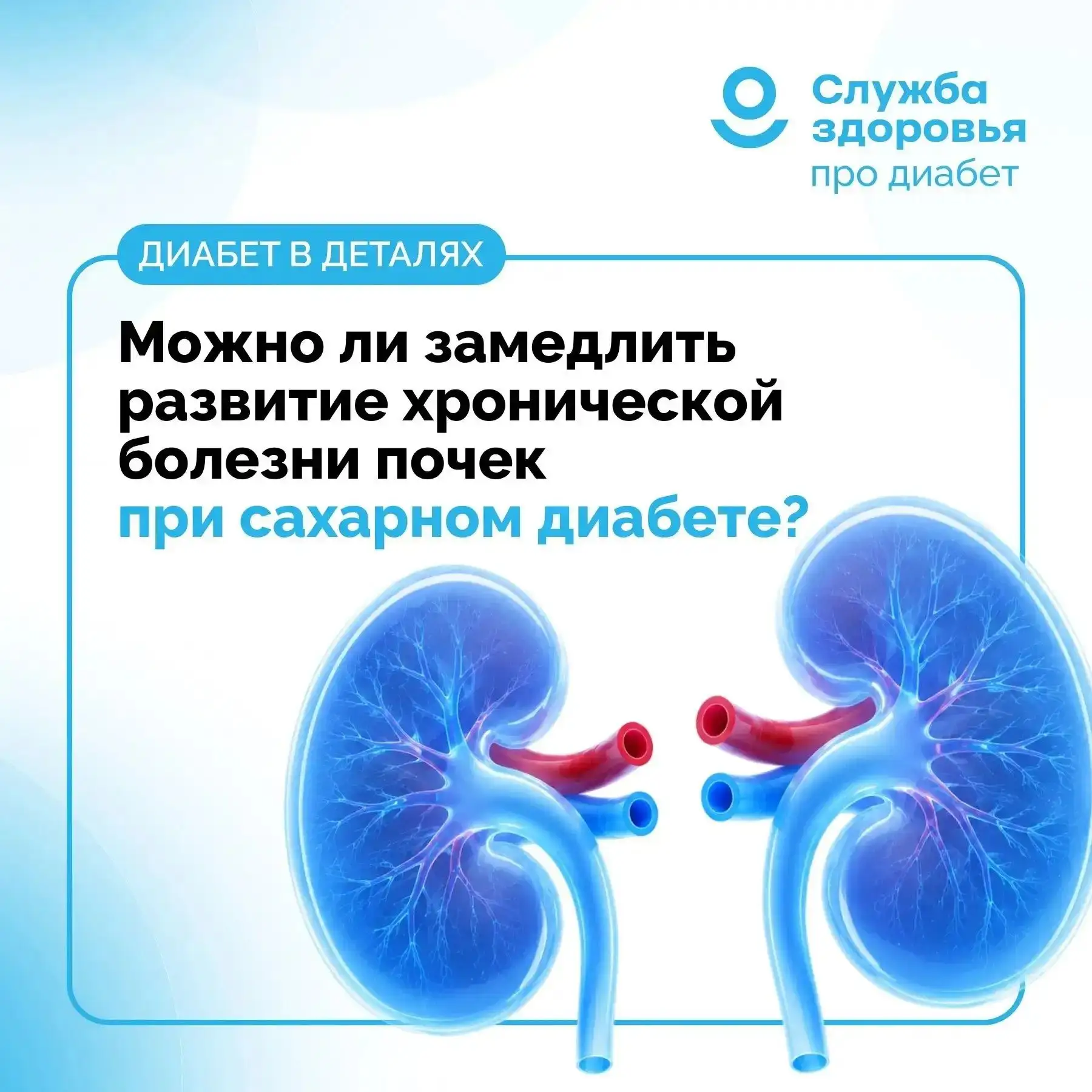 МОЖНО ЛИ ЗАМЕДЛИТЬ РАЗВИТИЕ ХРОНИЧЕСКОЙ БОЛЕЗНИ ПОЧЕК ПРИ САХАРНОМ ДИАБЕТЕ?