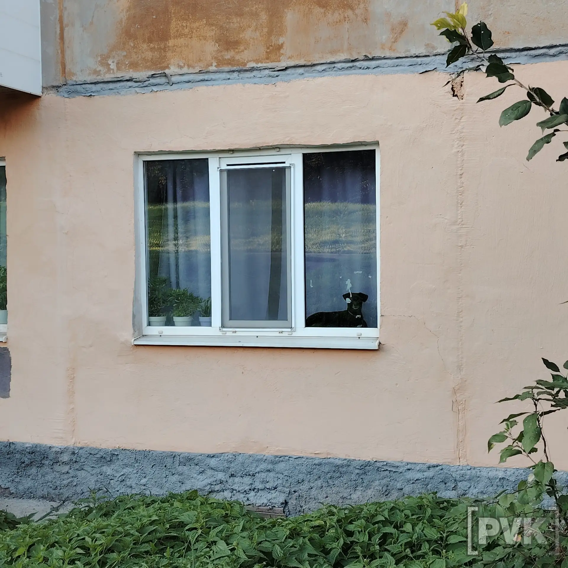 💂Ватутина, 59/2. Служба контроля за доставкой еды и голубями работает без выходных🫡