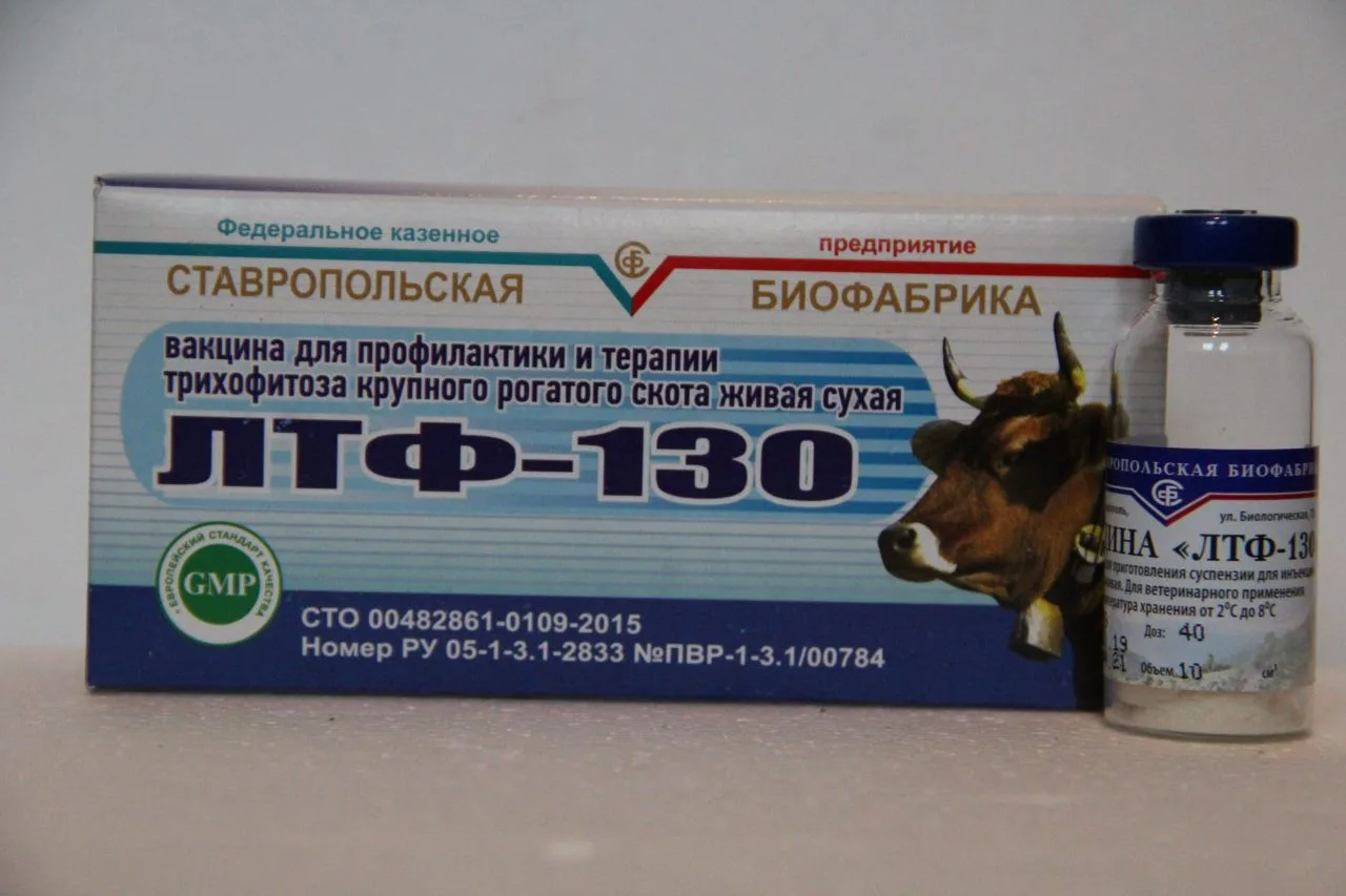 Зооантропонозная трихофития — микоз, основным источником заражения являются животные: к...