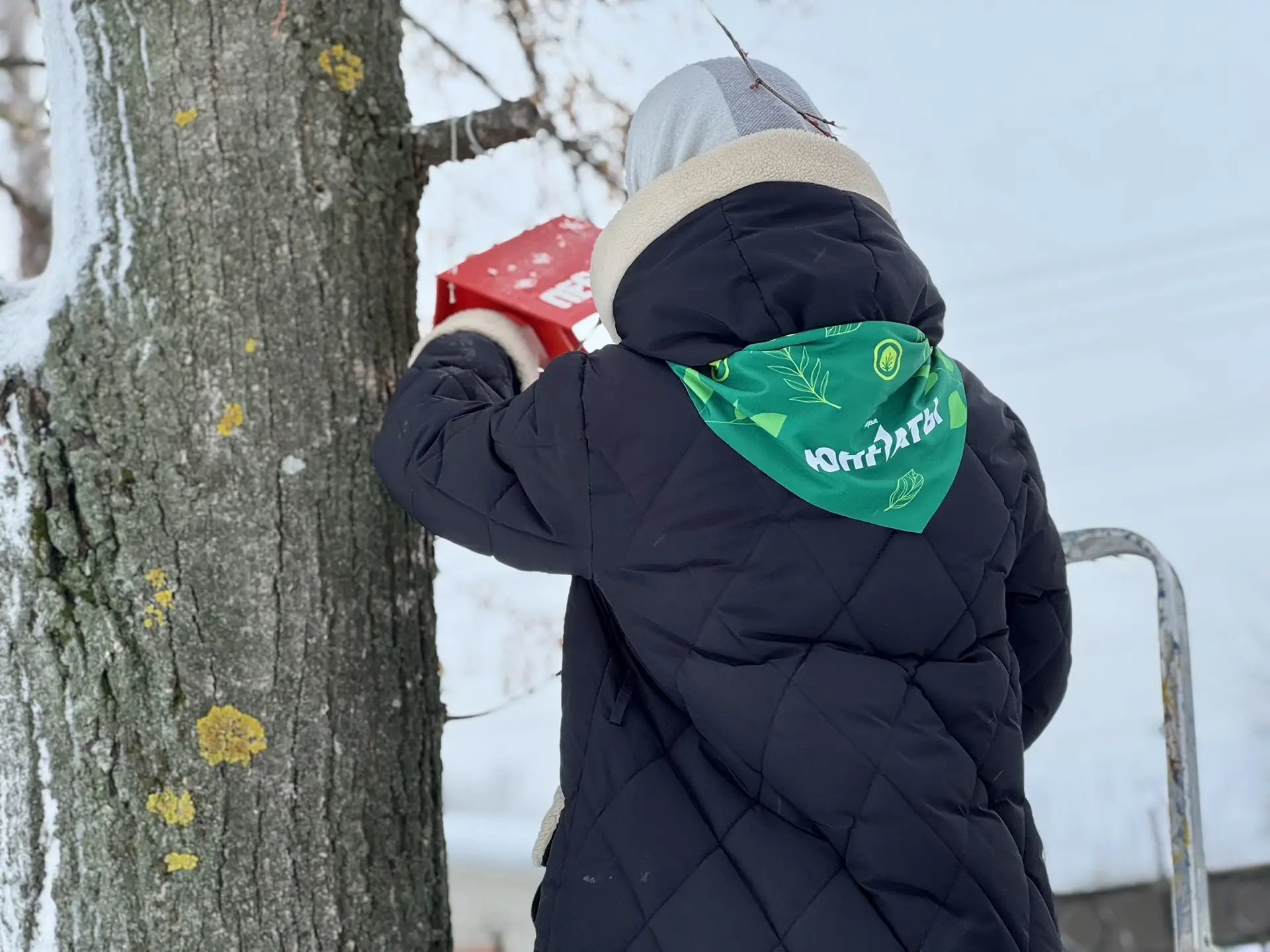 🐦В преддверии Дня зимующих птиц, который в нашей стране отметят 15 января, участники волонтерского о