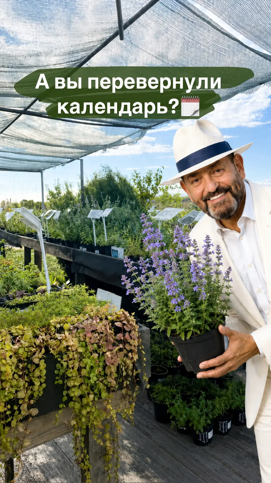🚨 Внимание всем, кто планировал обновить сад этой осенью! 🌿