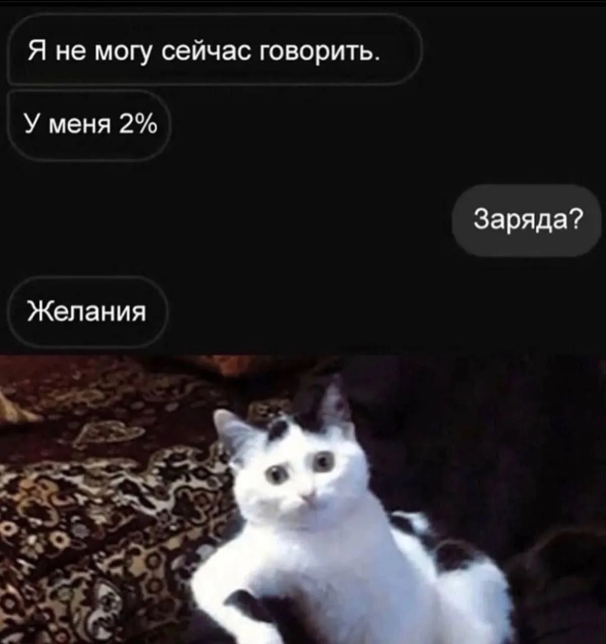 мемы / приколы / юмор / смешно