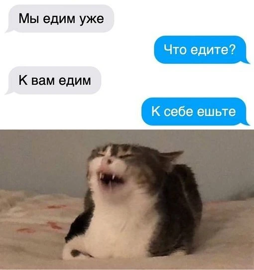 СМЕХ СКВОЗЬ ЧАТЫ