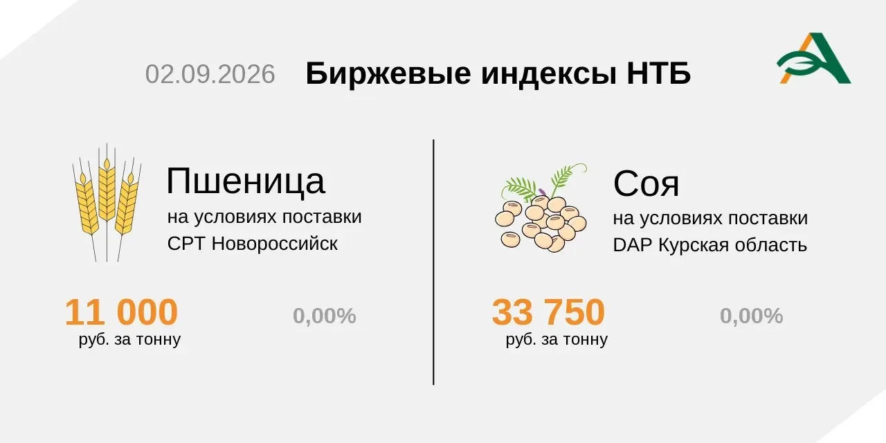 🔸Индексы на пшеницу и сою на Национальной товарной бирже 2 сентября.