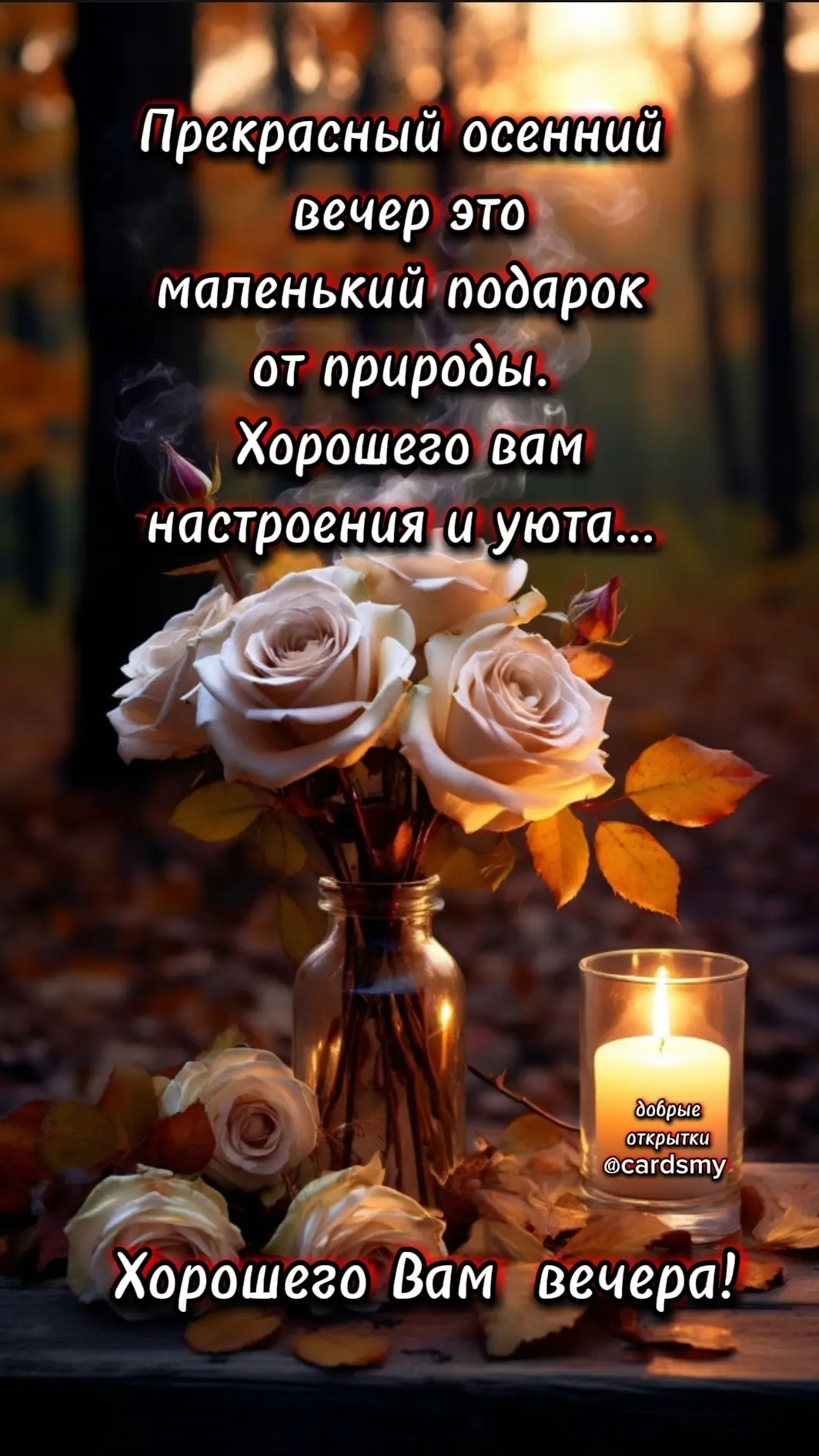Хорошего вам вечера!
