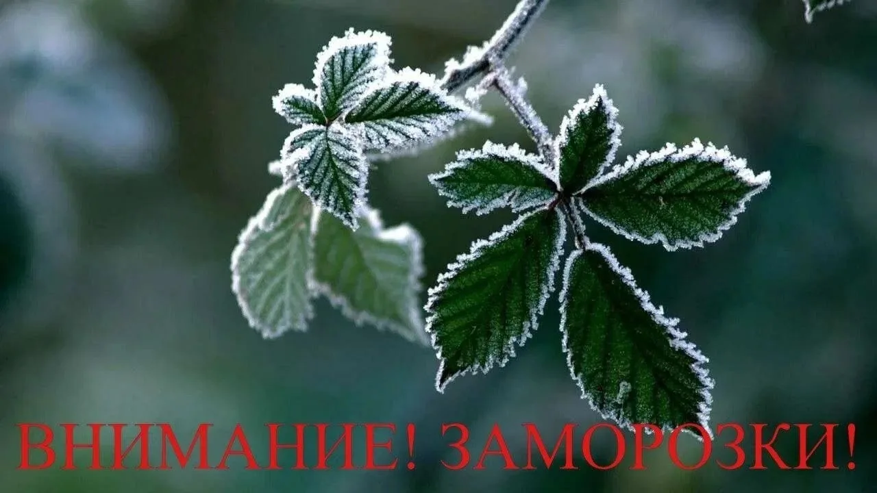 ☃️В Башкирии ударят заморозки до -5 градусов