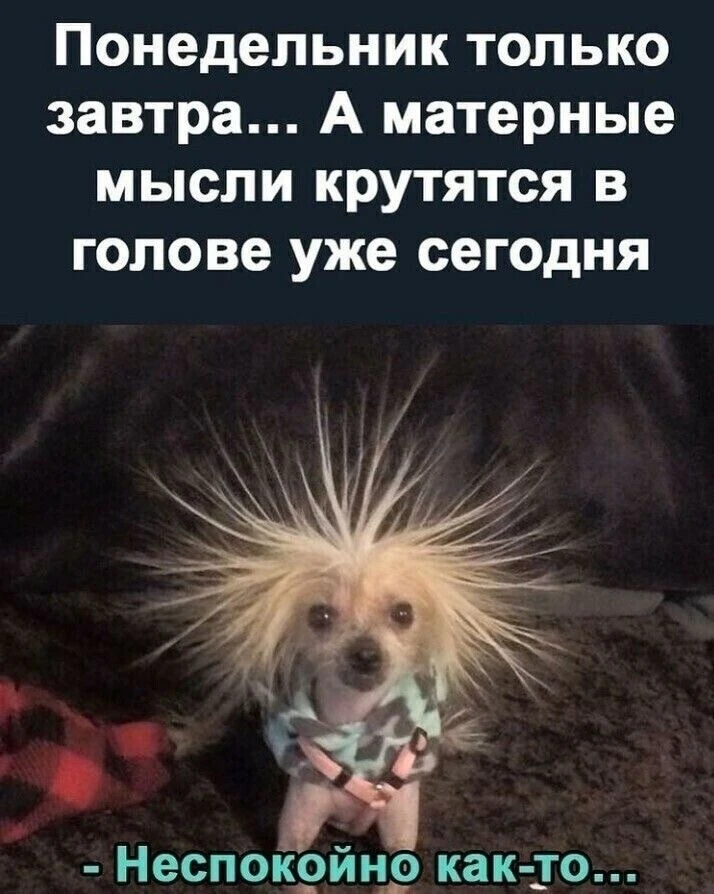 🤣 #юмор

🎉Календарные праздники🎉