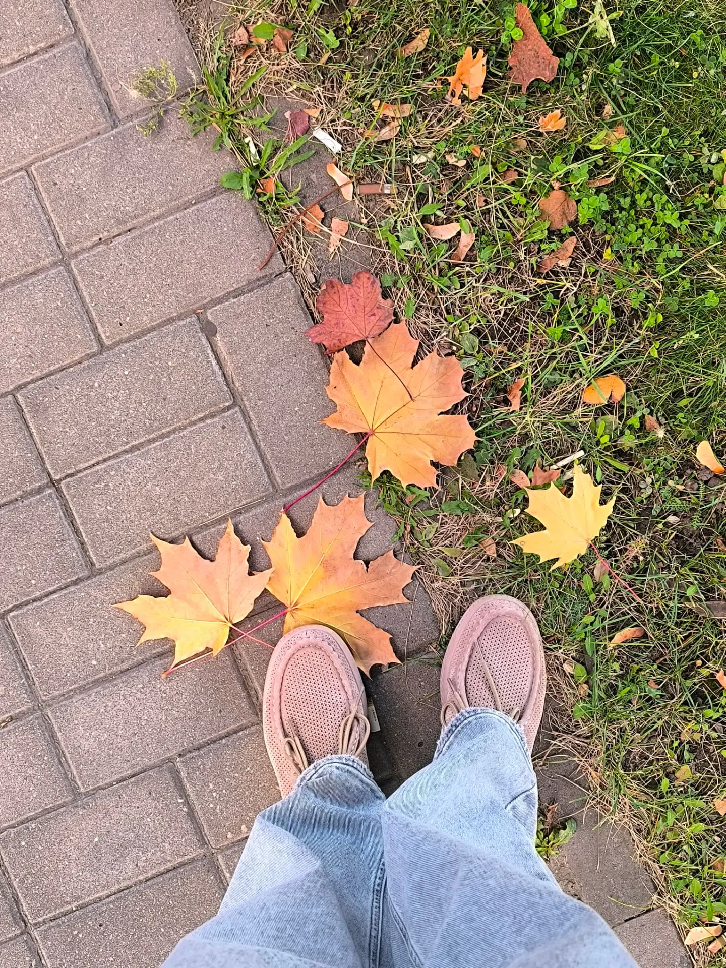 Доброе осеннее утро 🍂🍂🍂