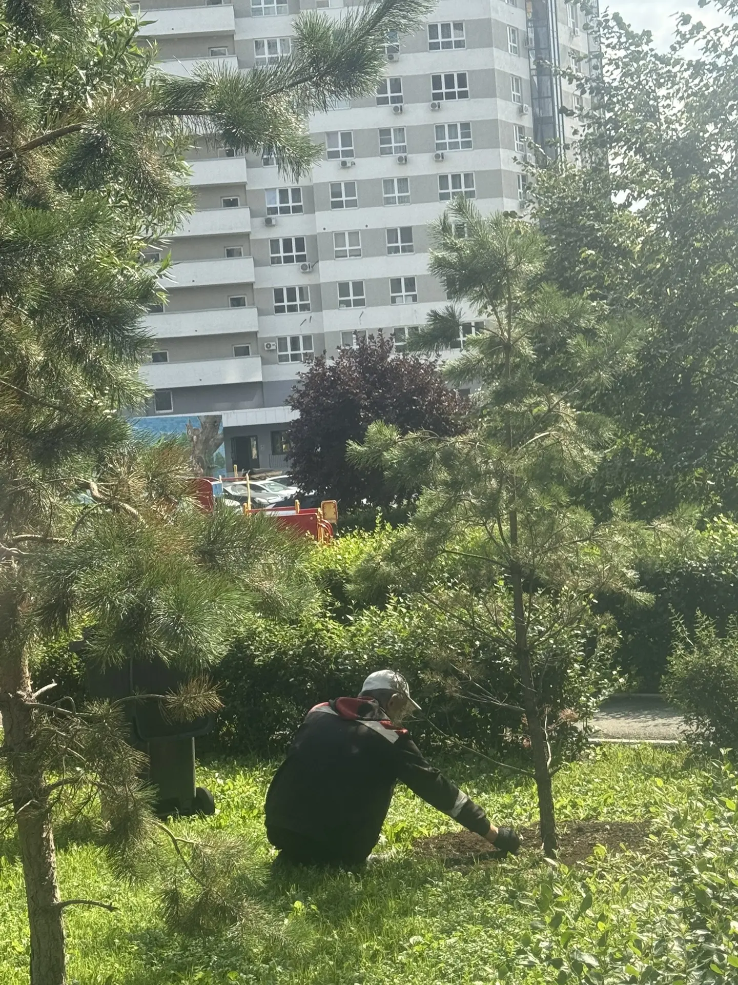 🧹 Управляющая компания проводит прополку во двора в микрорайоне "Западный Луч"