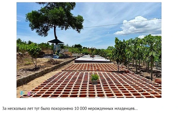 Кладбище нерождённых детей.  Посреди вьетнамского города Нячанг, есть место, от которого сжимается с