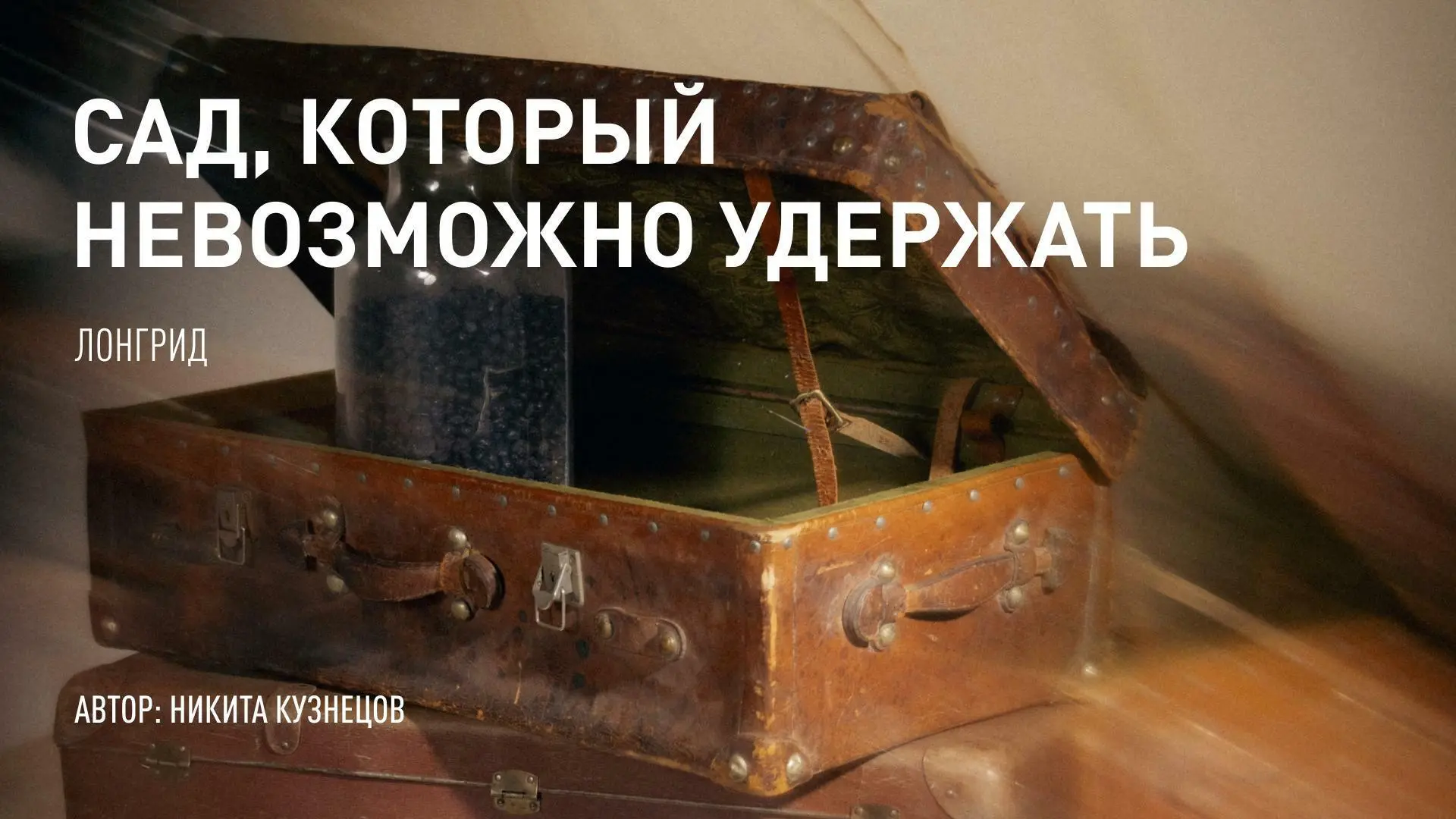 Можно ли станцевать звук лопнувшей струны — и услышать, как цветёт сад?