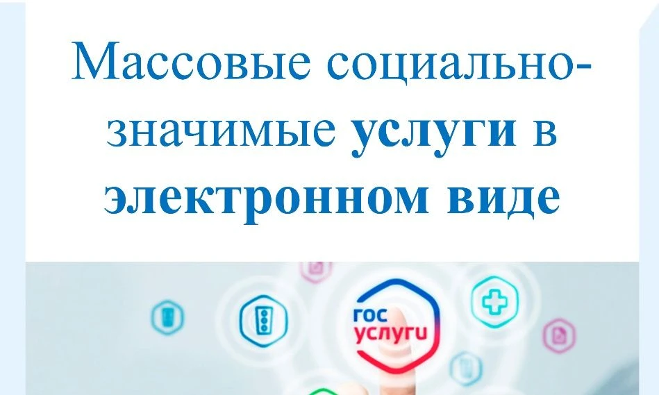 Массовые социально значимые услуги областного КУИ оказываются в электронном виде