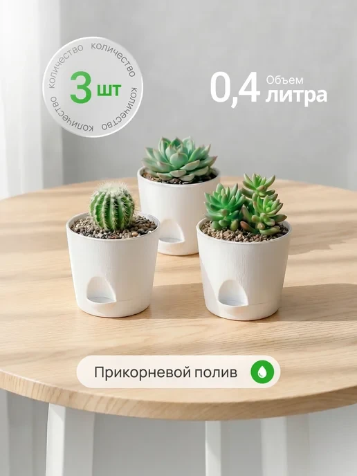 🏷 ЦЕННИК ДНЯ | 🌿 Сад и дача